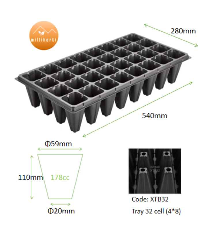 Seed and Propagation Trays, Polystyrene, 
