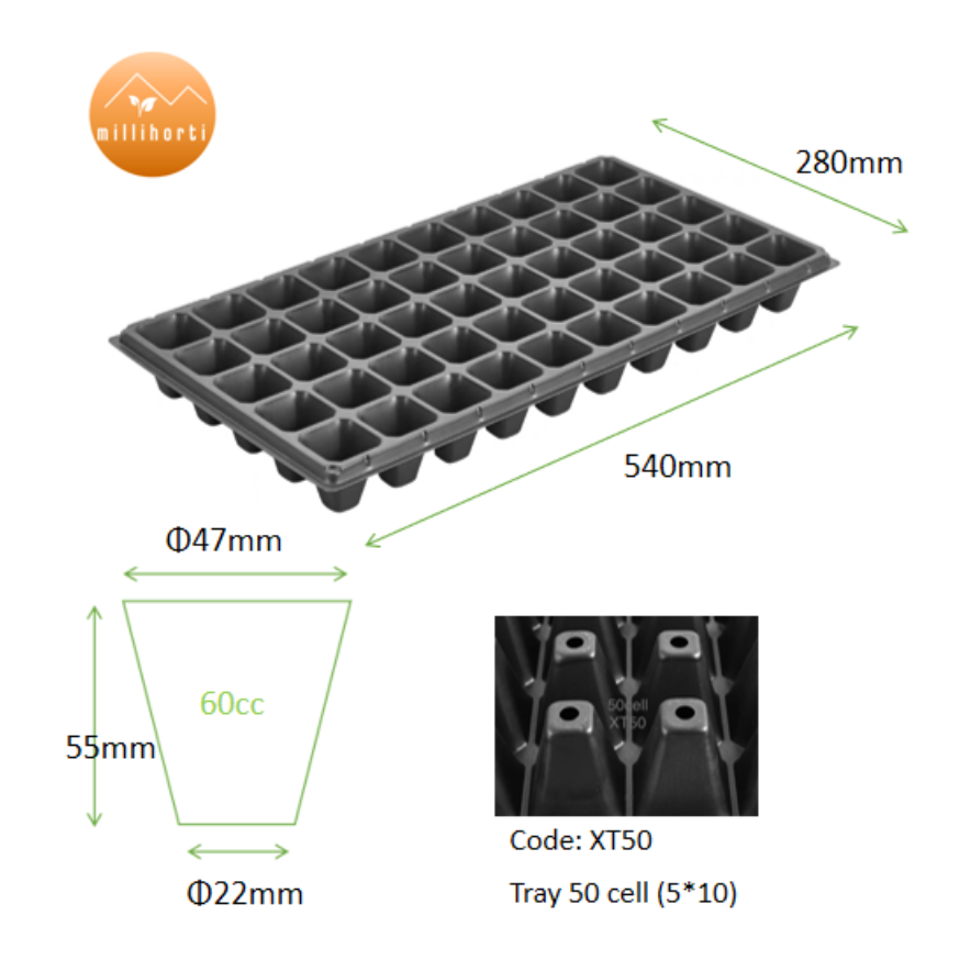 Propagation Trays, Deep, 50 cell, 60cc, 100ps/pack