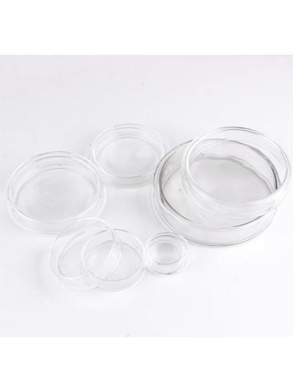 Glass Cell Culture Dish